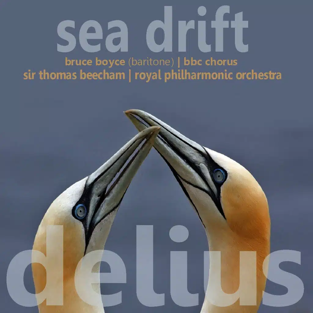 Sea Drift: Sea Drift