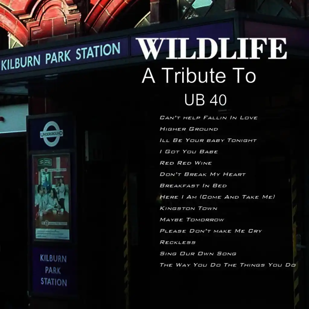 Can't Help Falling In Love