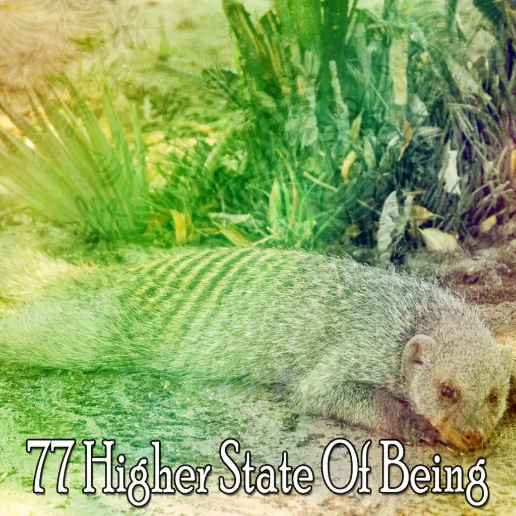 77 Higher State of Being