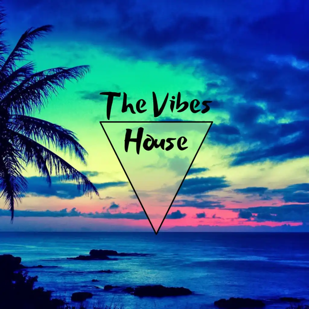 The Vibes House