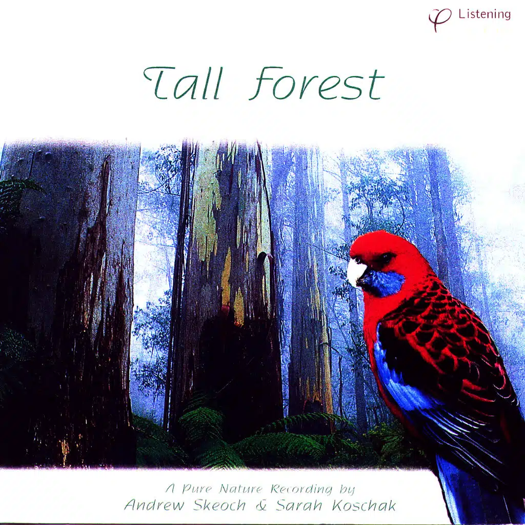 Lyrebird Gully (featuring Superb Lyrebird)