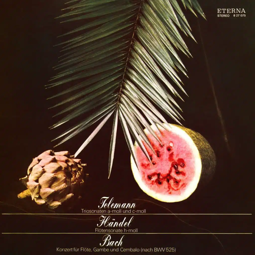 Essercizii musici: Trio in A Minor, TWV 42:a4: II. Vivace