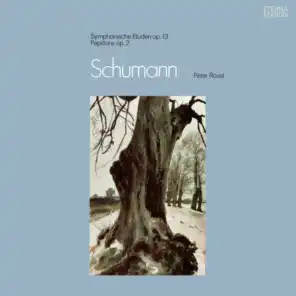 Schumann: Symphonische Etüden / Papillons