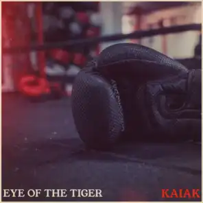 Eye Of The Tiger (Acoustic)