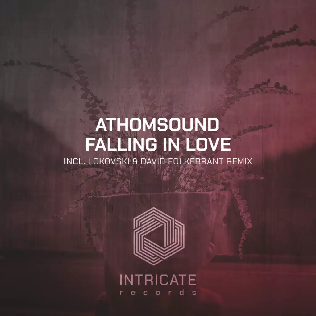 Falling in Love (feat. David Folkebrant & Lokovski)