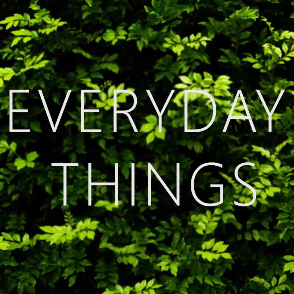 Everyday Things