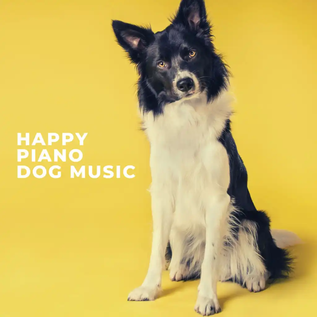 Calm music for pets