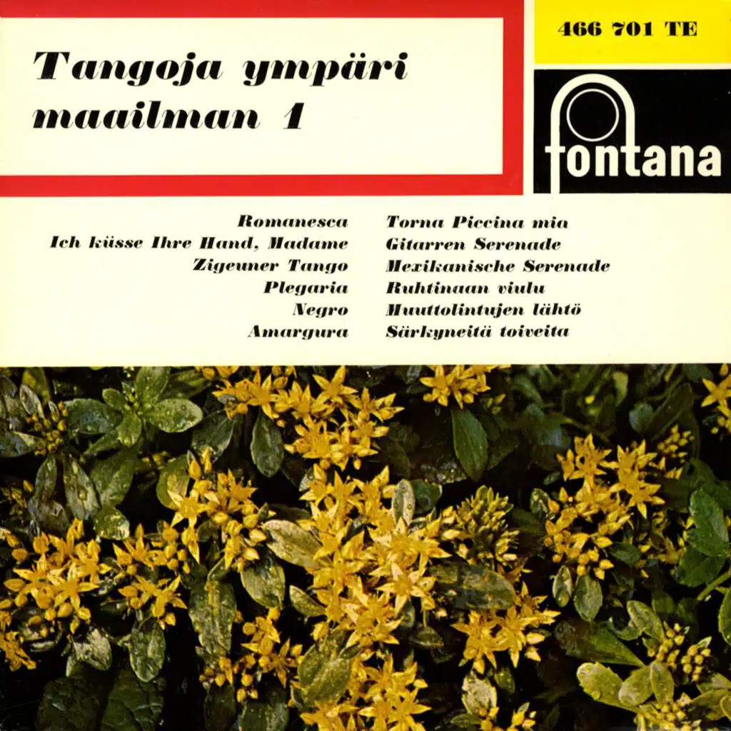 Tangoja ympäri maailman 1