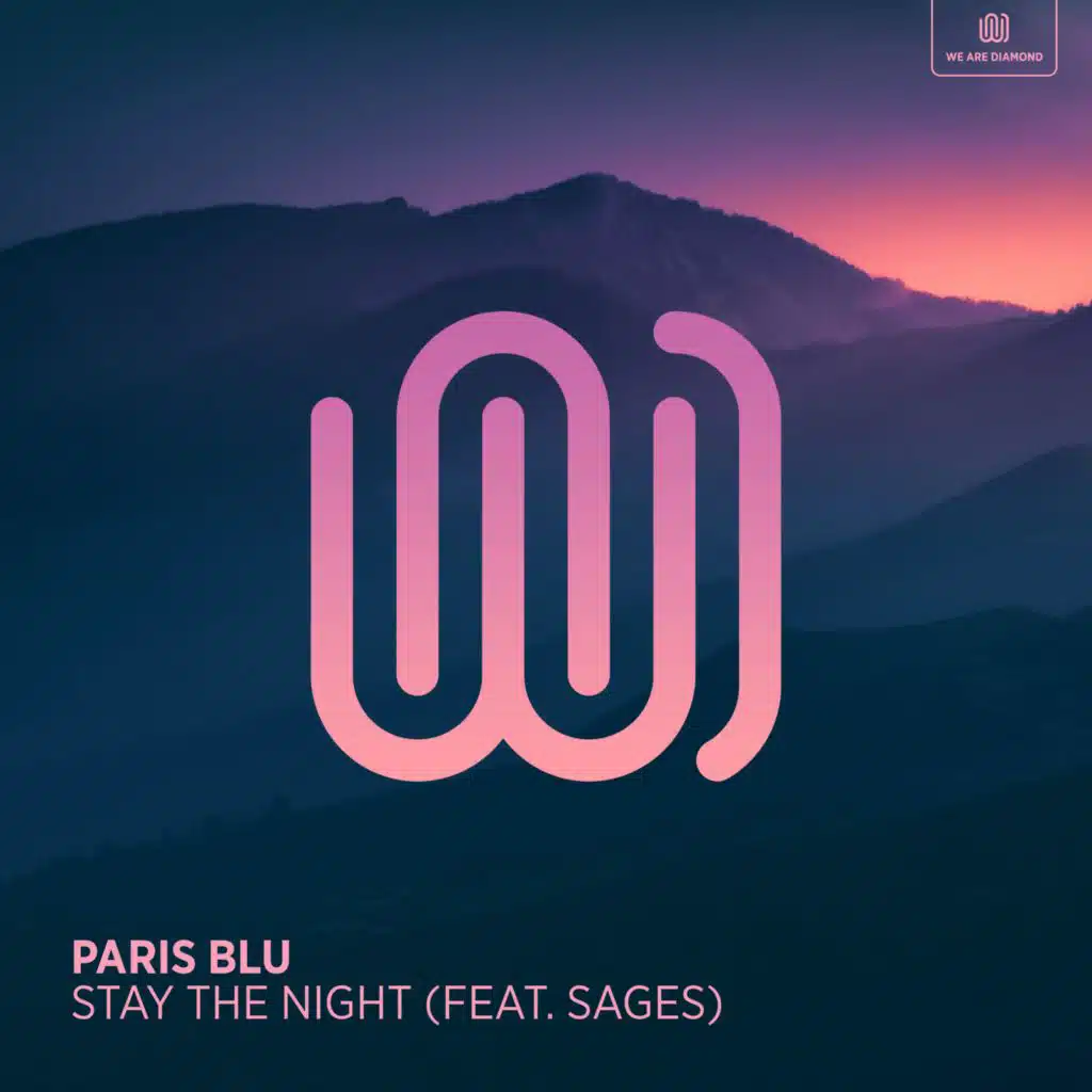 Stay the Night (feat. Sages)