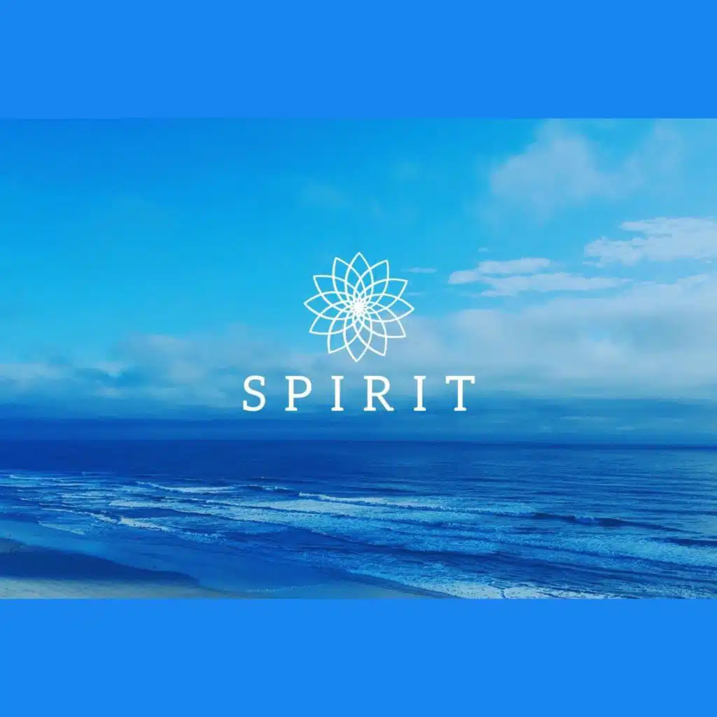 Schumann Waves (Live)