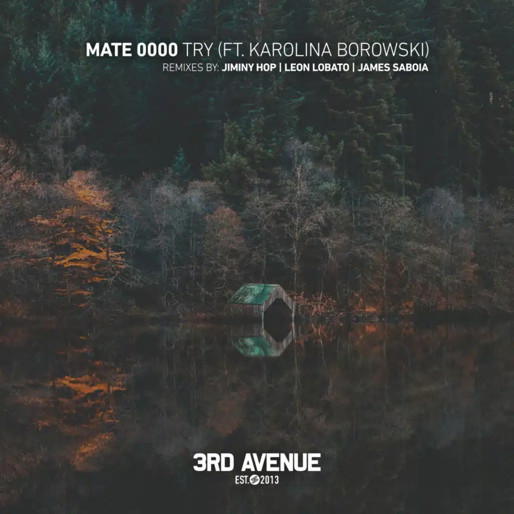 Try (James Saboia Remix)