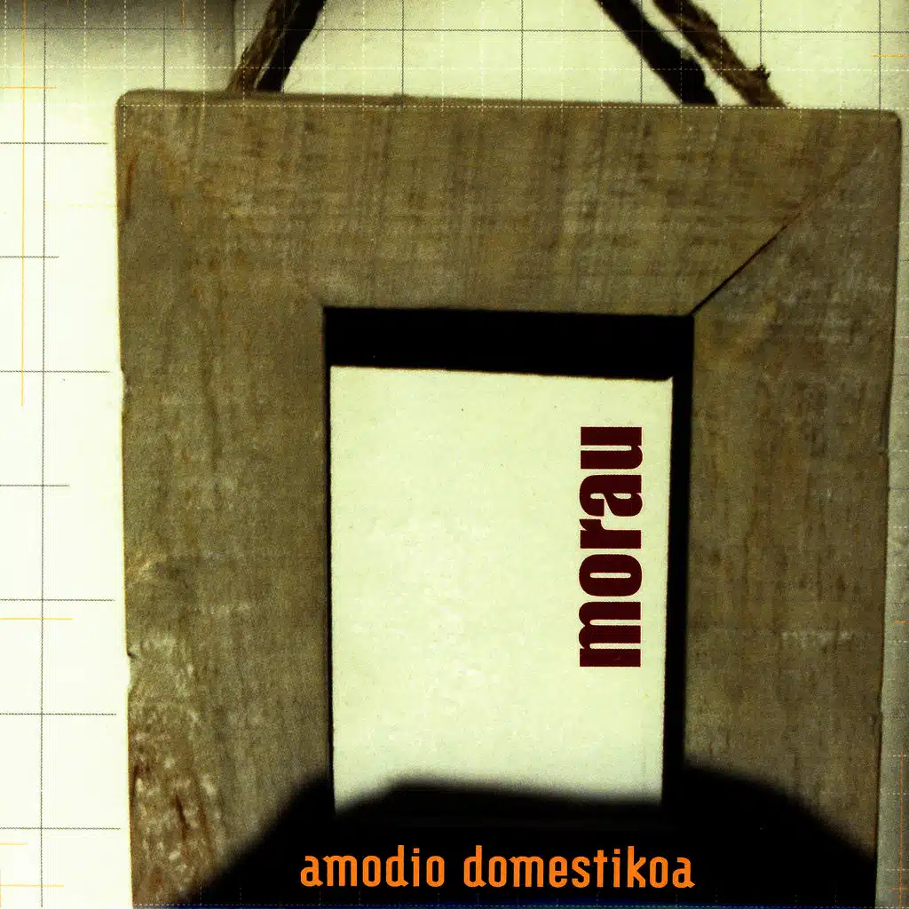 Amodio domestikoa