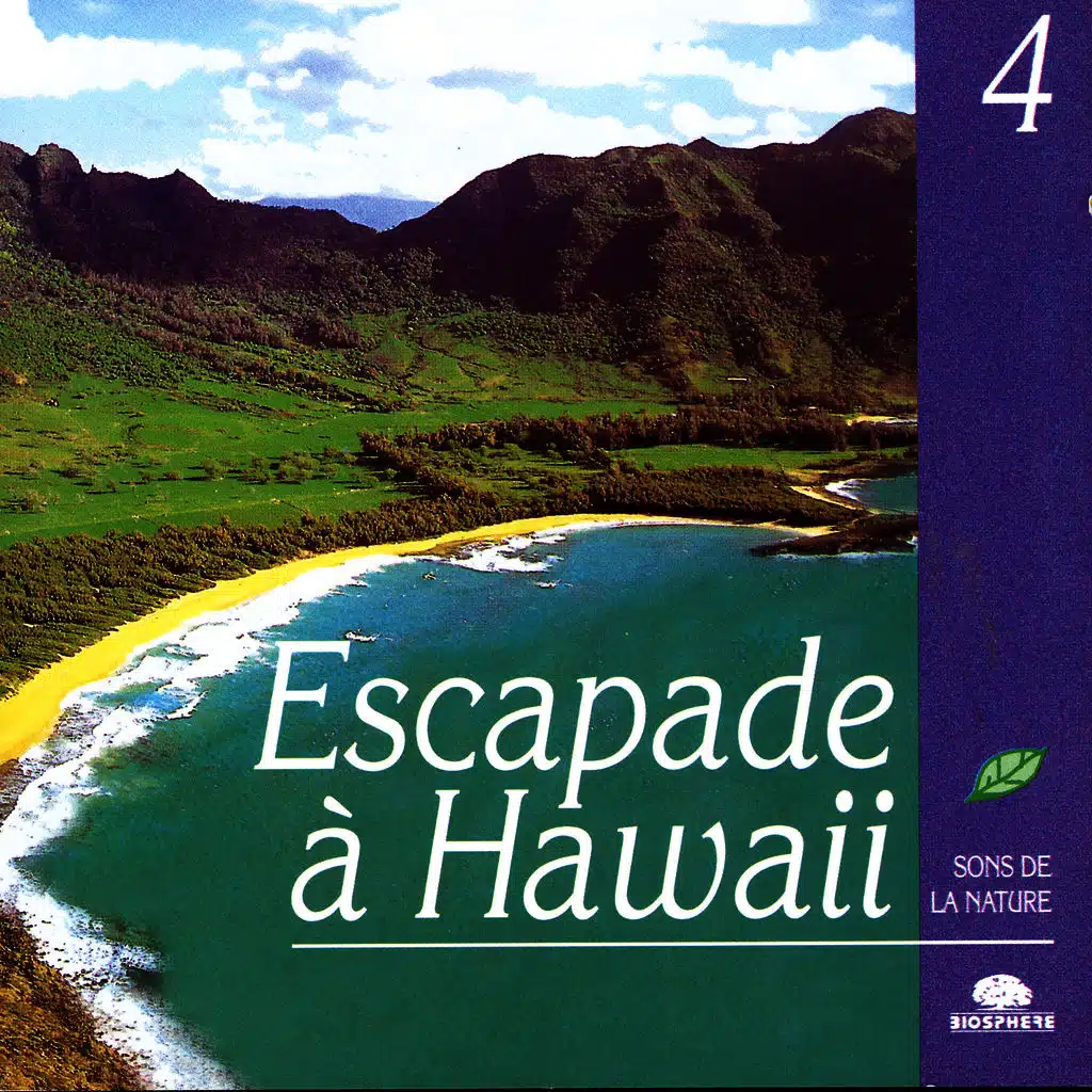 A Jaunt To Hawaii (Escapade À Hawaii)