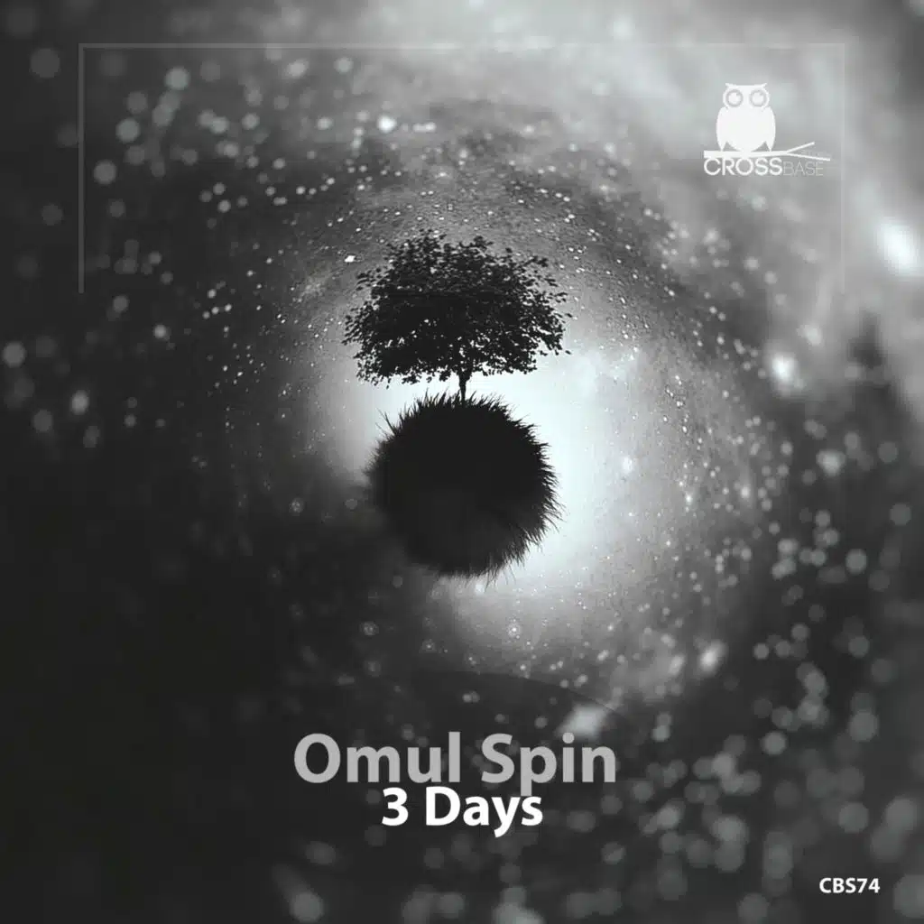 Omul Spin