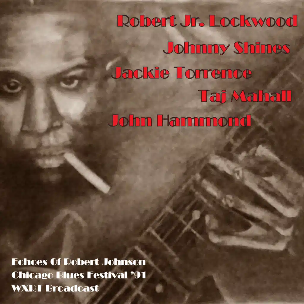 Chicago Blues Festival (Live 1991)