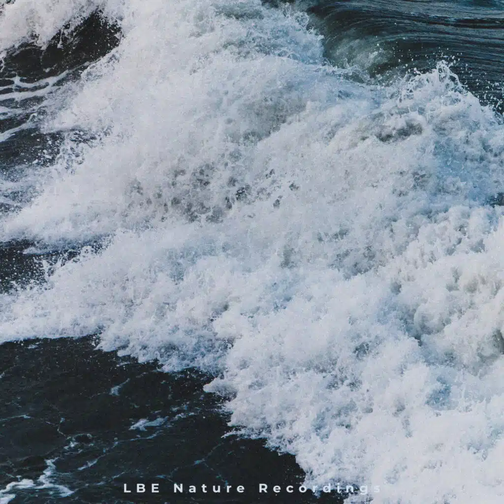 LBE Nature Recordings