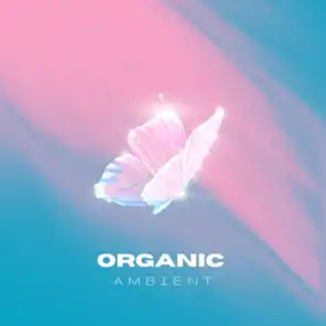 Organic Ambient
