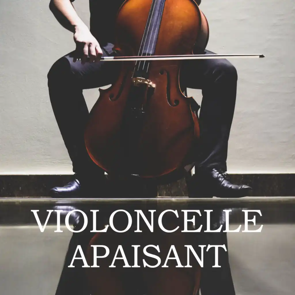 Unaccompanied Cello Suite No. 1 in G major, BWV 1007: IV. Sarabande