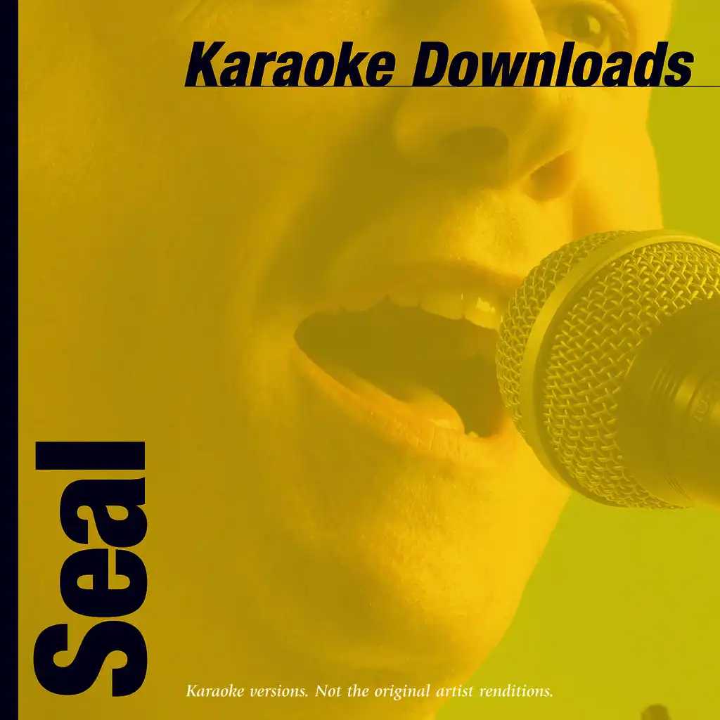 Karaoke Downloads – Seal