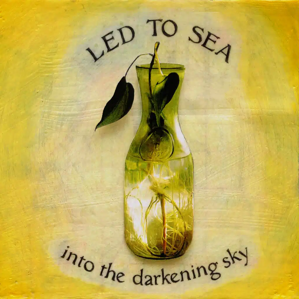 Into the Darkening Sky