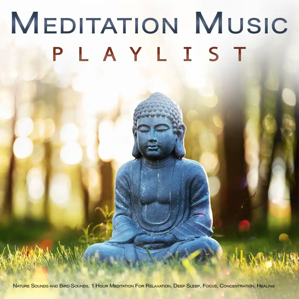 Meditation Music Playlist: Nature Sounds and Bird Sounds, 1 Hour Meditation For Relaxation, Deep Sleep, Focus, Concentration, Healing, Wellness, Mindfulness and Sleeping Music