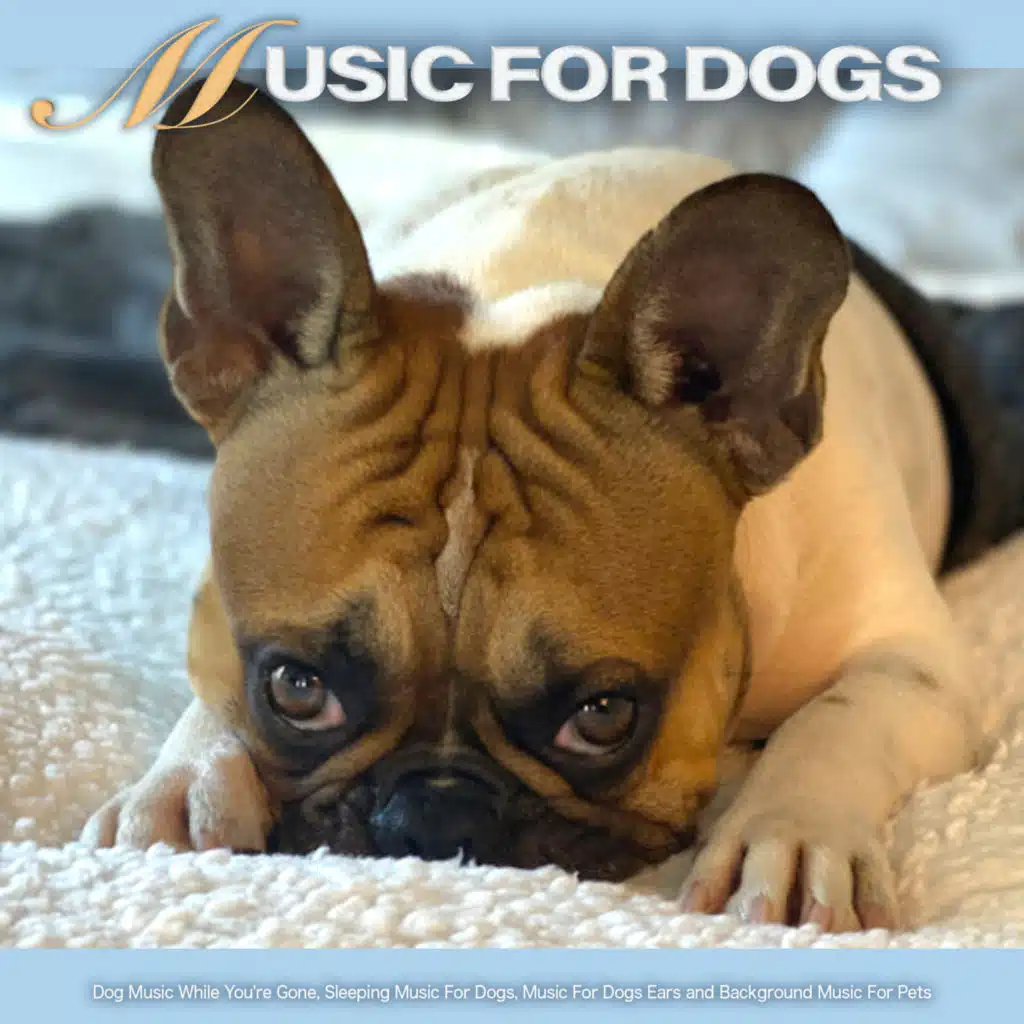 Dog Music, Music For Dogs & Calming Music For Dogs