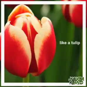 like a tulip