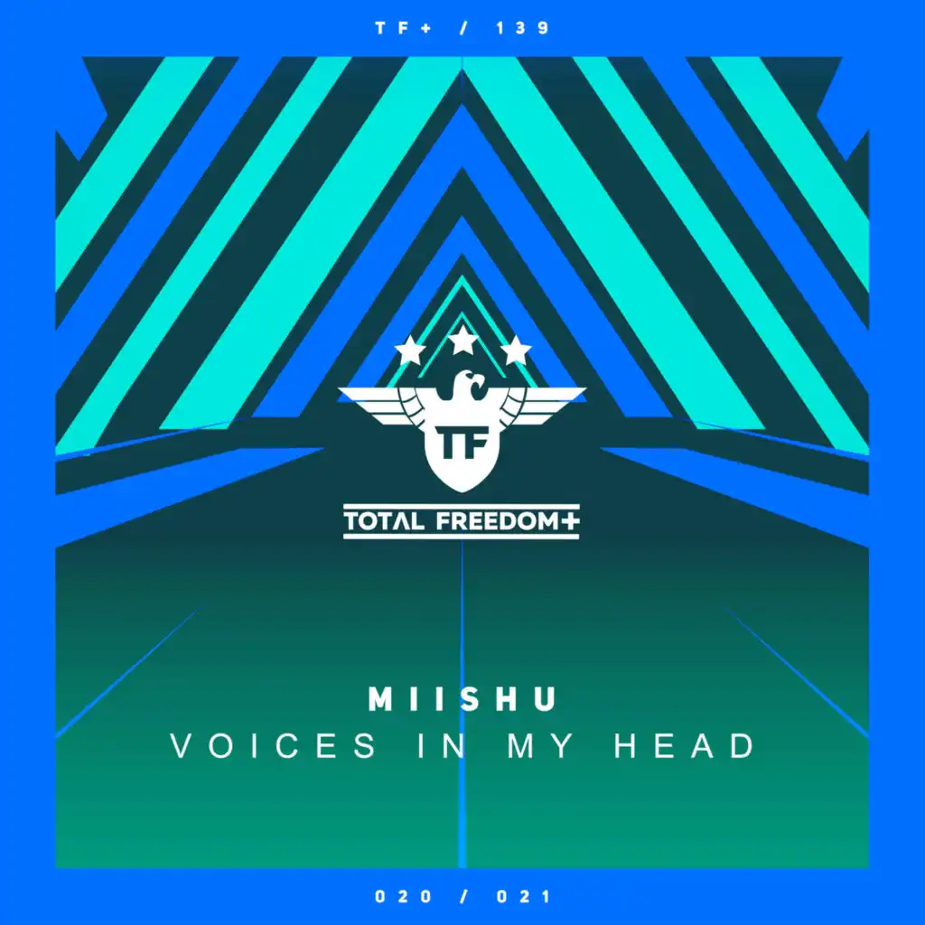 Voices In My Head (Extended Mix)