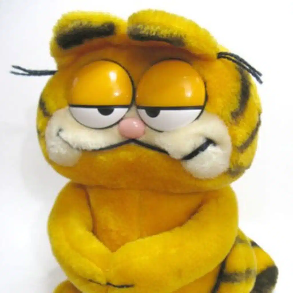 RANDOM GARFIELD