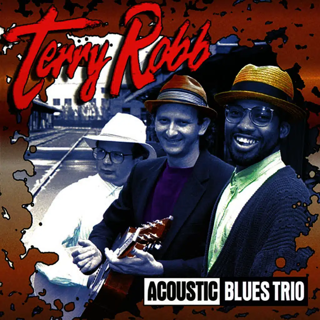 Acoustic Blues Trio
