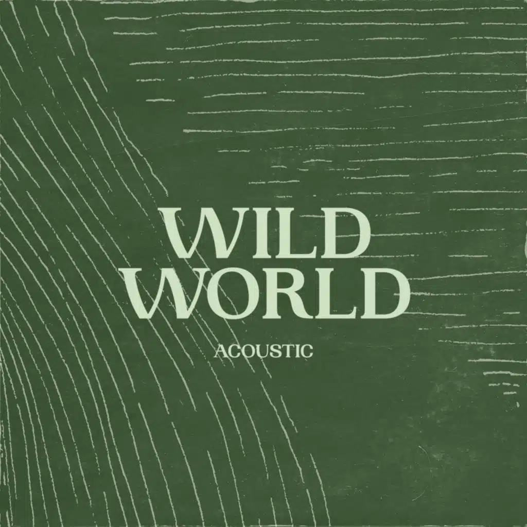 Wild World (Acoustic)