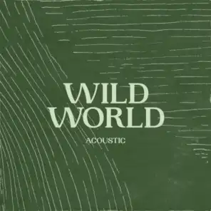 Wild World (Acoustic)