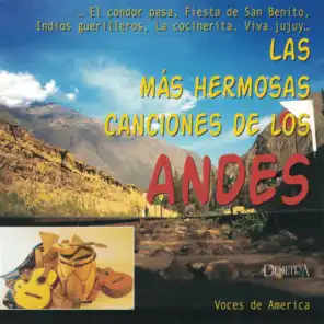 Las más hermosas canciones de los Andes (feat. Giorgia Zandonella Golin, Cesar Riveros, Diego Buzzola, Livio Busato & Fabrizio Zen)