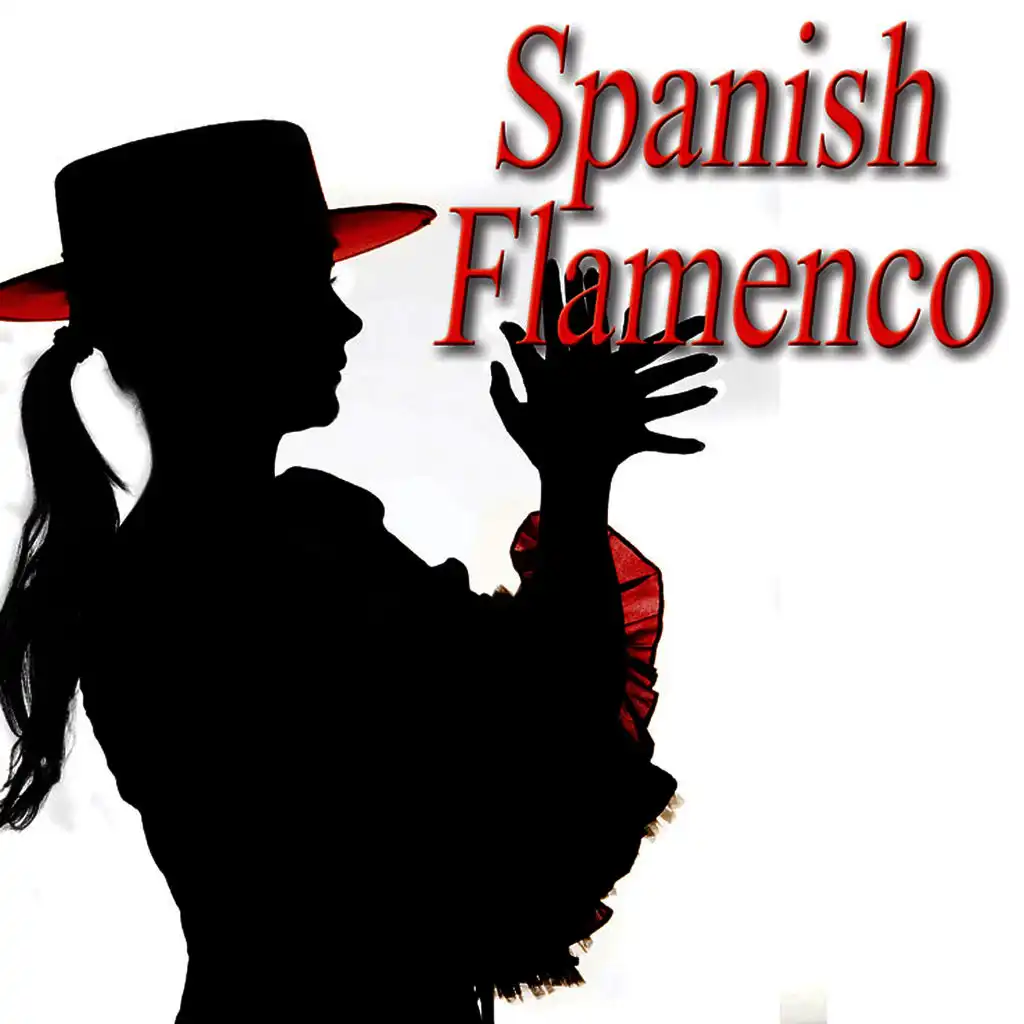 Flamenco  1