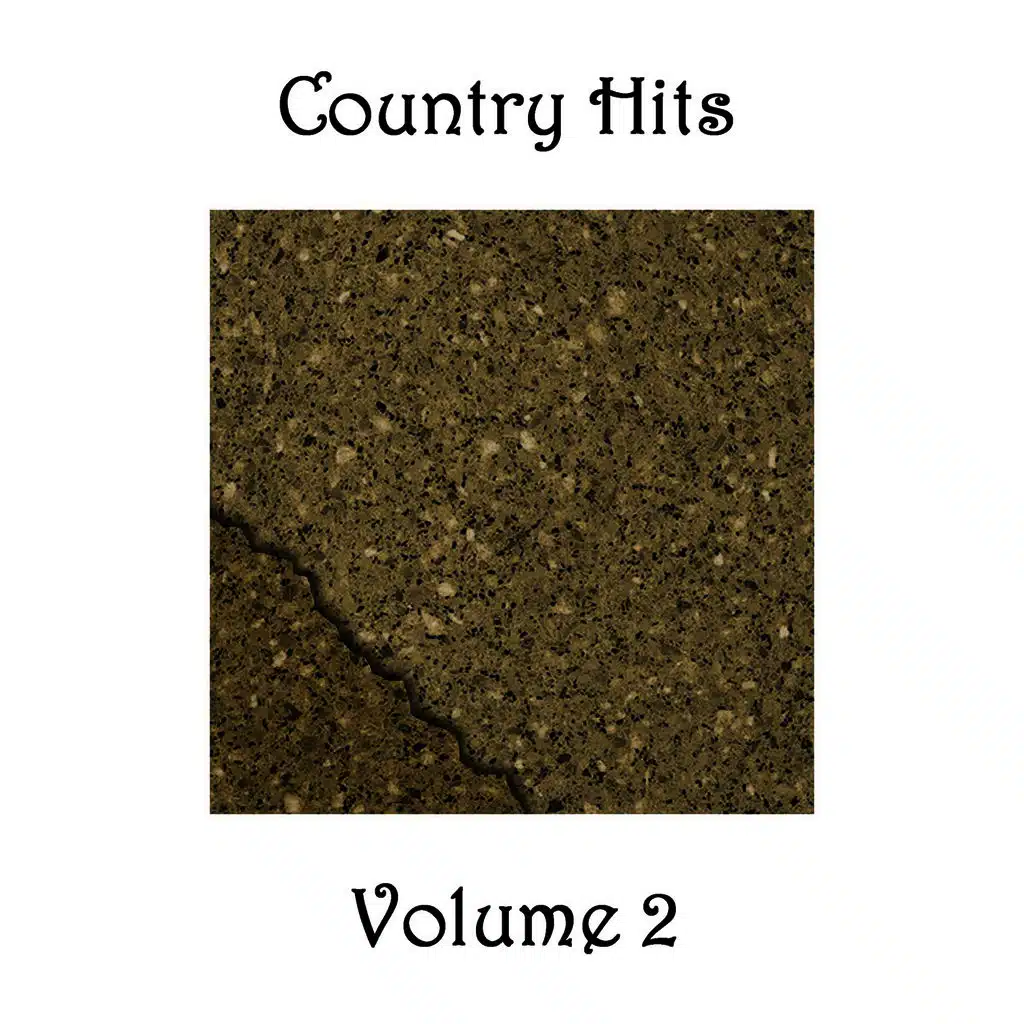 Country Hits - Volume 2