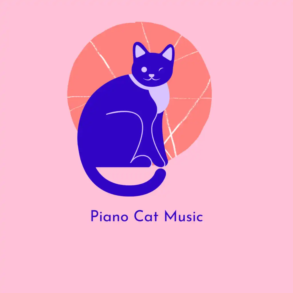 cat piano