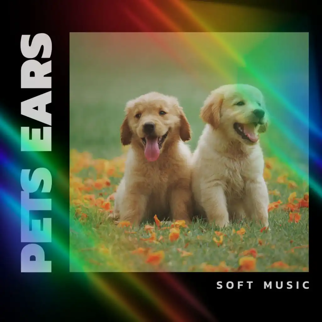 Soft Music For Pets Ears