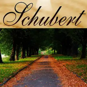 Momento Musical Op.94 Nº3 D.780  - Schubert