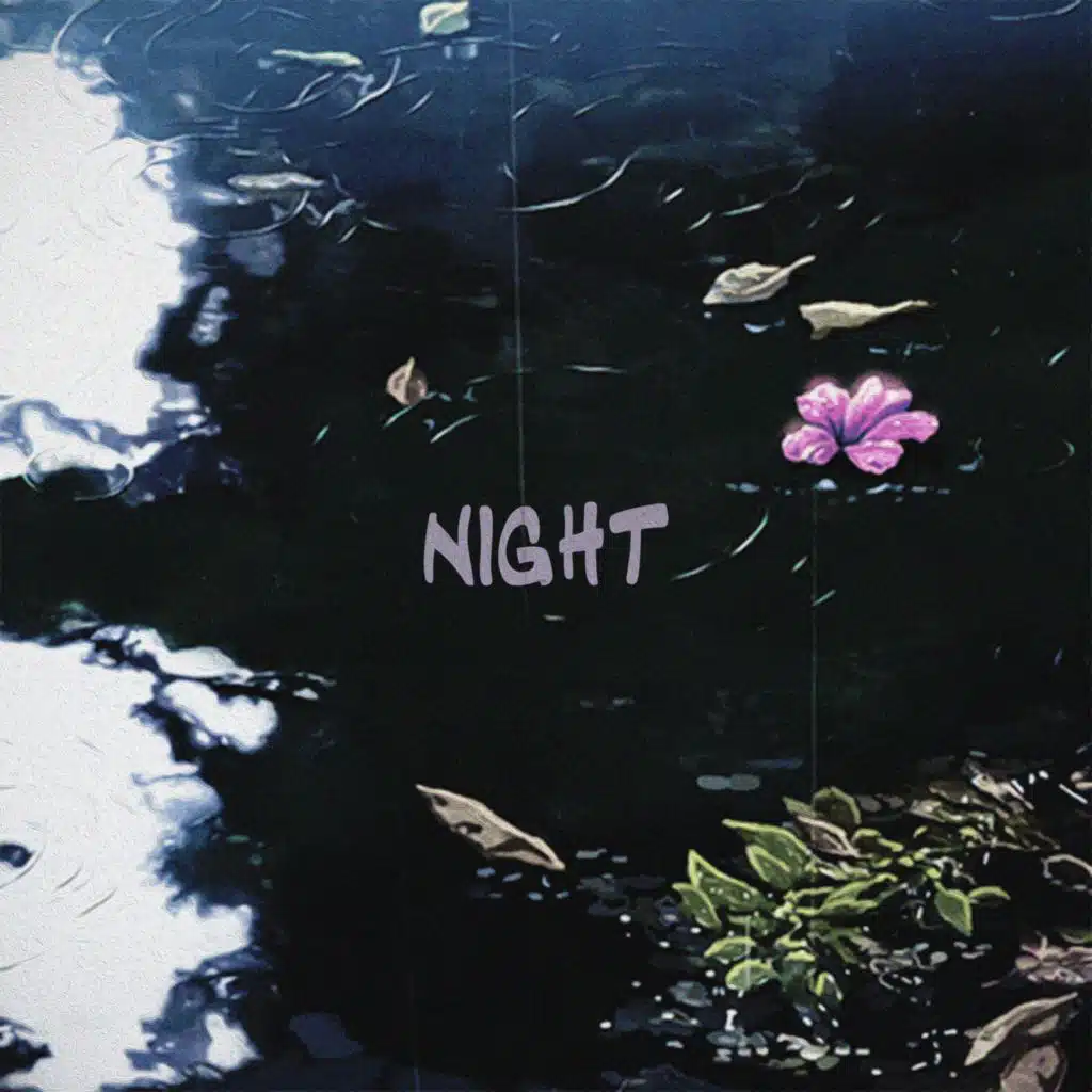 Night