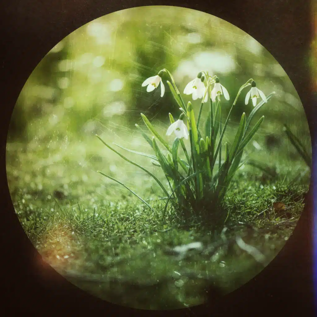 Spring is Here (feat. Carl Bagge & Lina Nyberg)