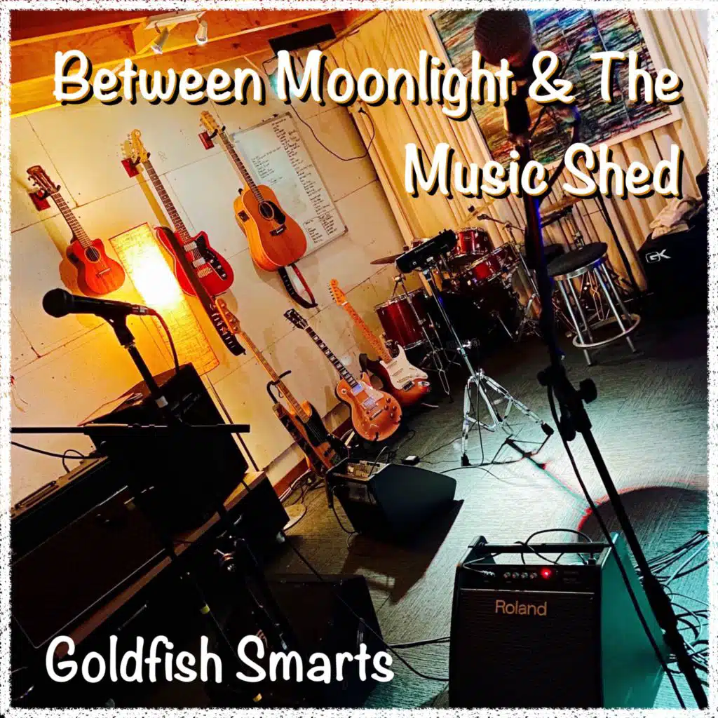 Between Moonlight & the Music Shed
