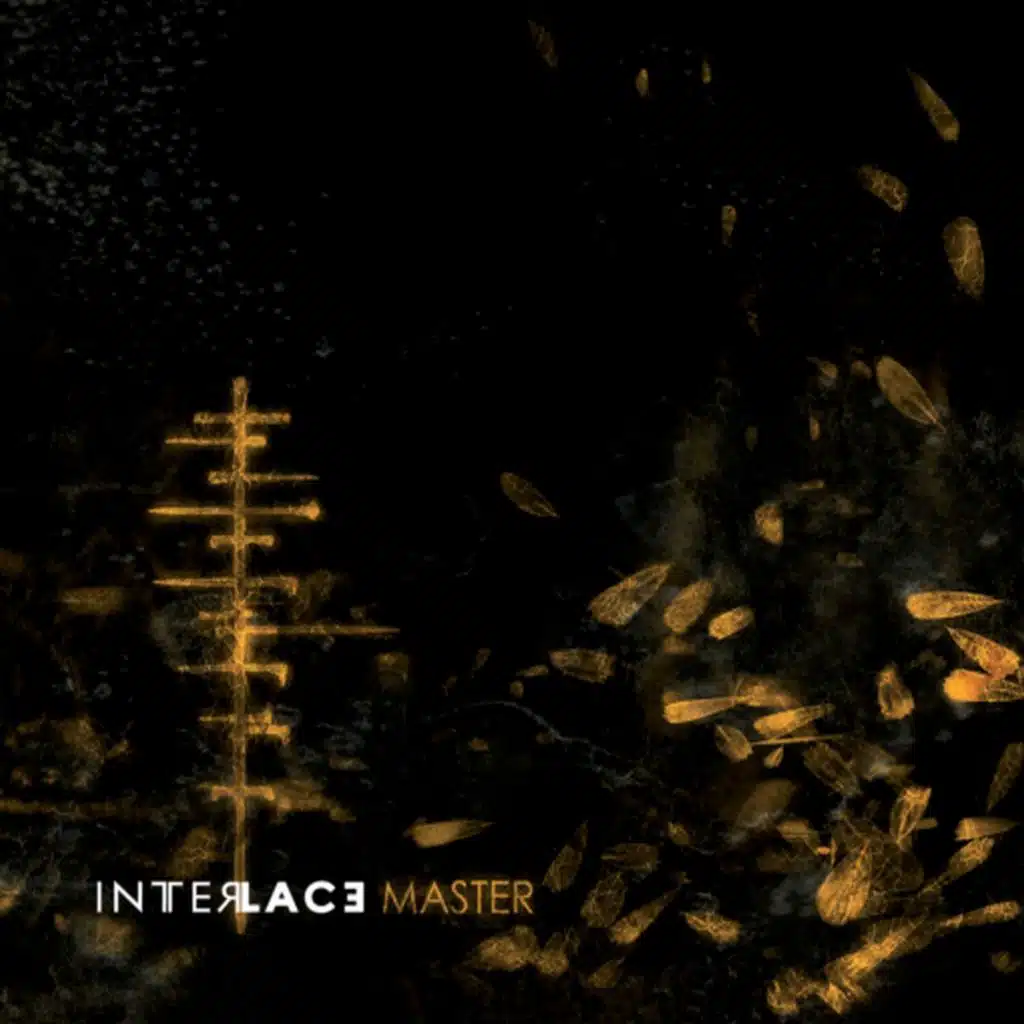 Master (Mayfly)