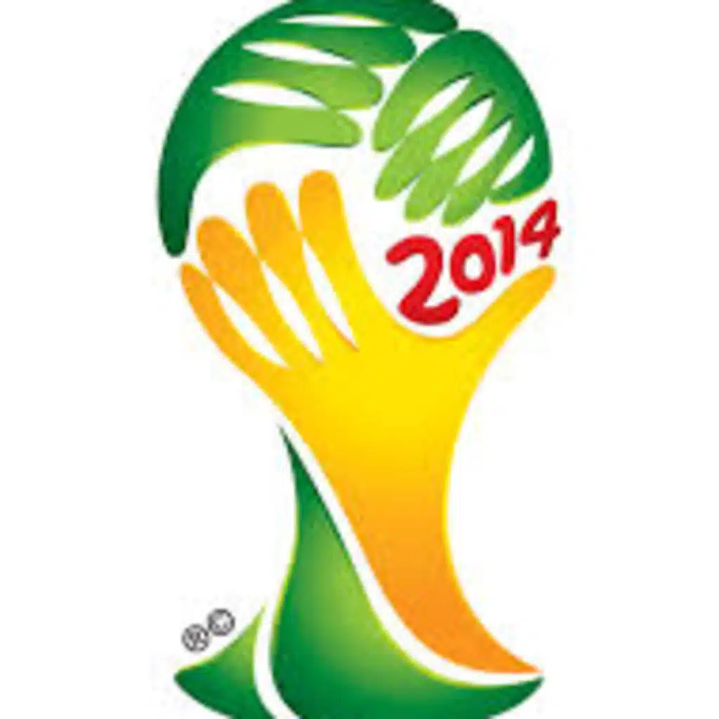 World Cup 2014 Day 29