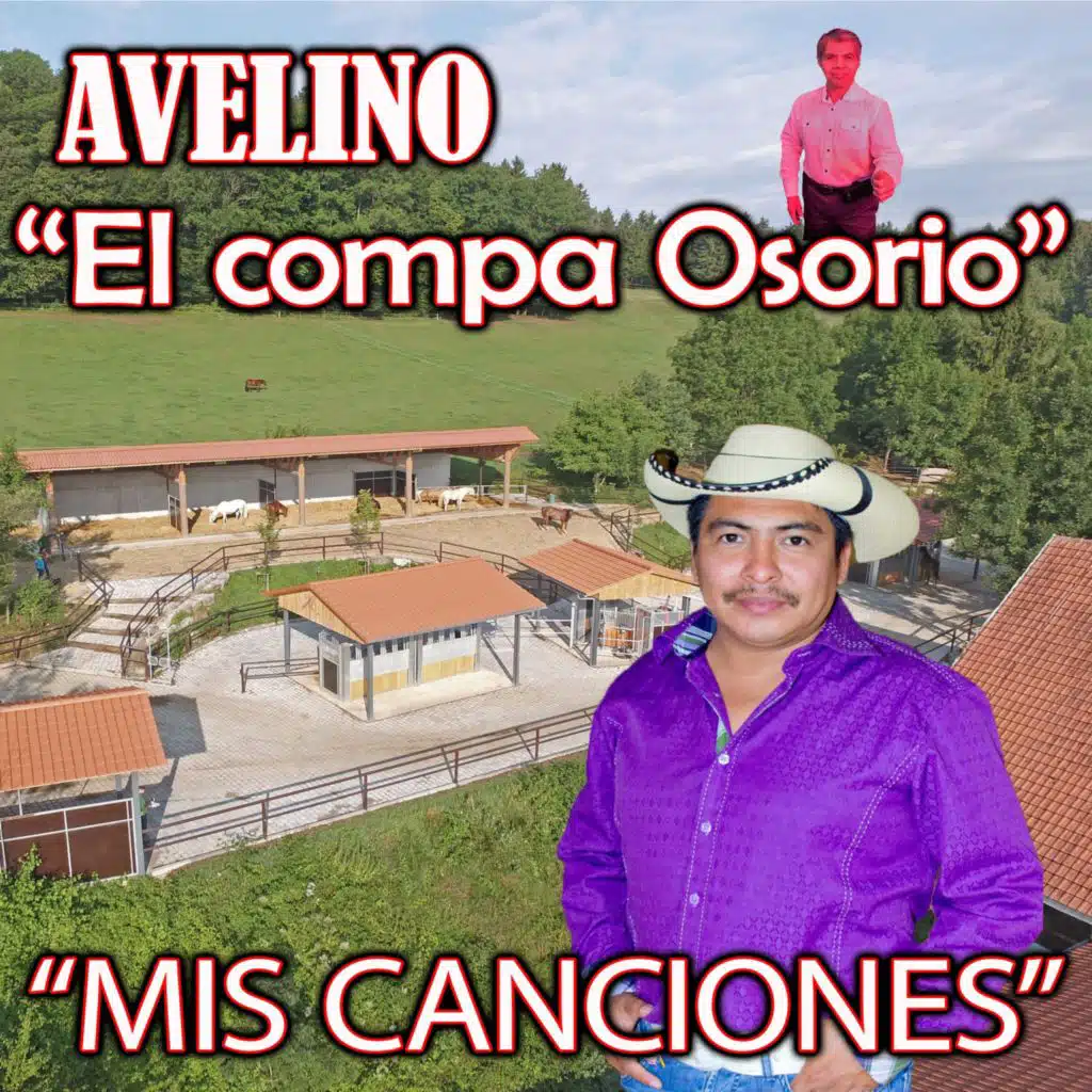 Mis canciones (feat. Jesús Mendoza)
