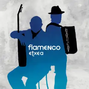 Flamenco Etxea