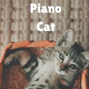 cat piano relax