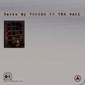 Voice in the wall