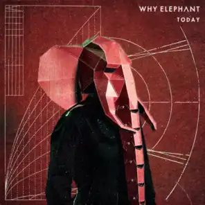 Why Elephant