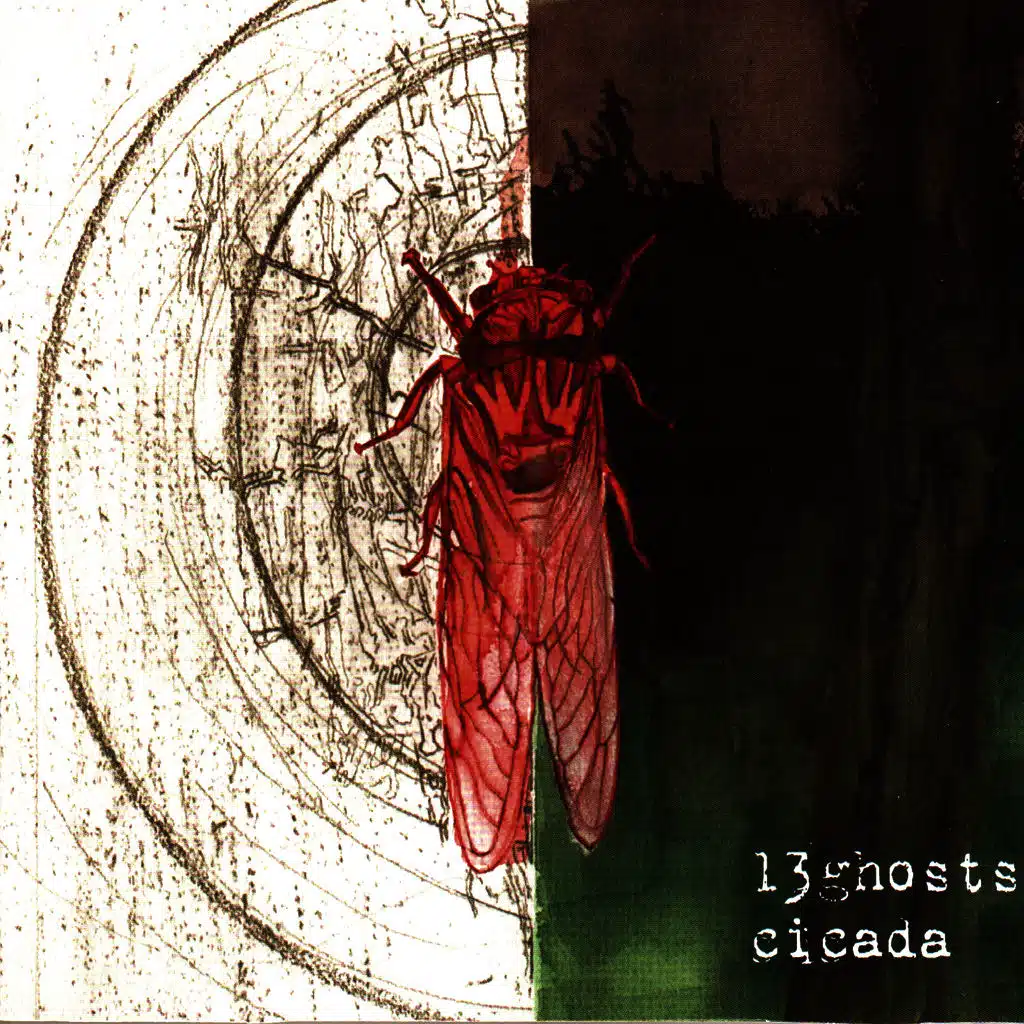 Cicada