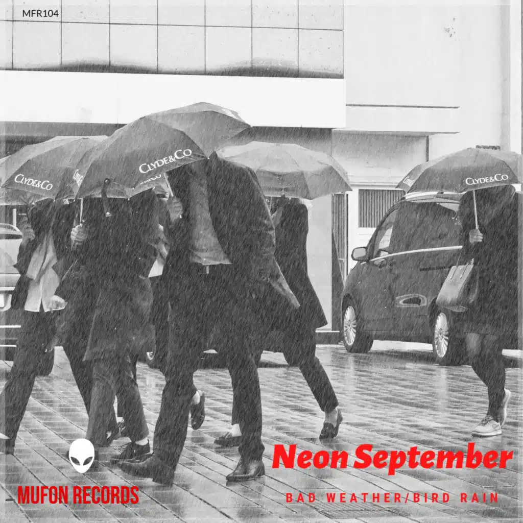 Bad Weather / Bird Rain